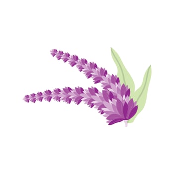 Lavender Logo, Purple Plant Vector, Garden Design, Illustration Symbol Template vector