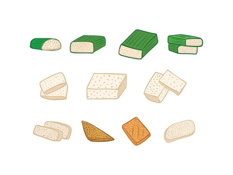 Set of different types of fermented soybean Vector illustrations in cartoon style