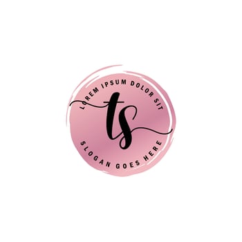 TS Initial Letter handwriting logo with circle brush template vector