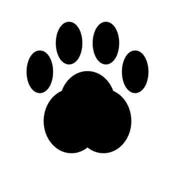 Footprint Icon Vector Symbol Design Illustration