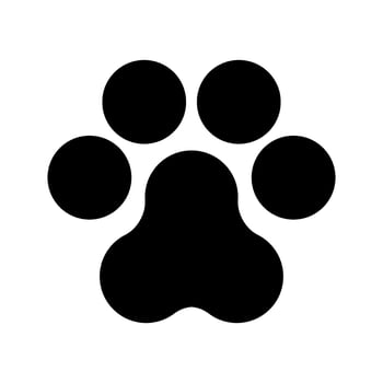 Paw Print Icon Vector Symbol Design Illustration