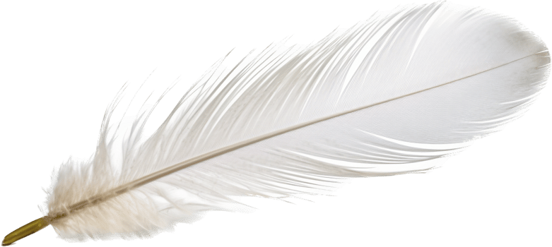 Feather with . png