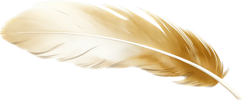 Feather with . png