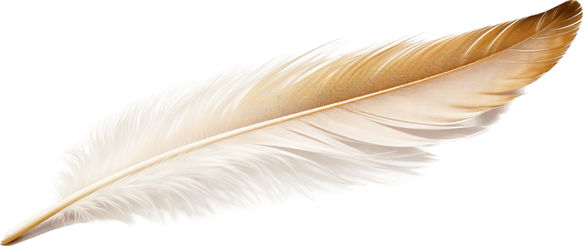 Feather with . png