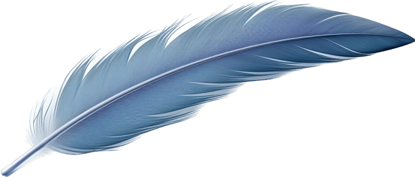 Feather with . png