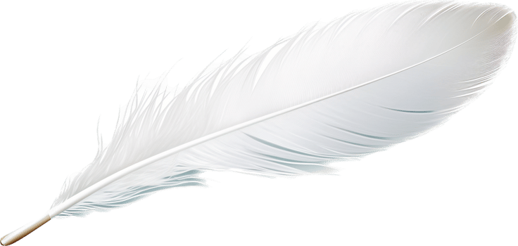 Feather with . png