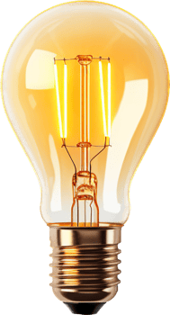 lightbulb with . png