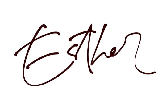 signature series E design illustration vector