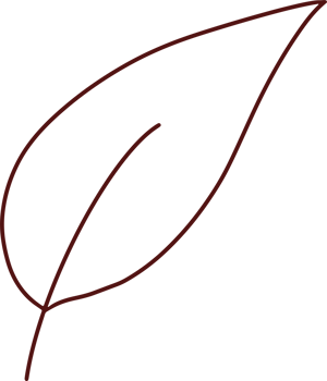 Autumn Hand Drawing Doodle with Leaf png
