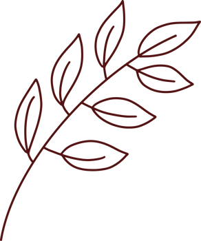Hand drawn doodle autumn with leaf png