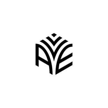 VAE hexagon logo vector, develop, construction, natural, finance logo, real estate, suitable for your company. vector