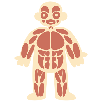 Blood system body png