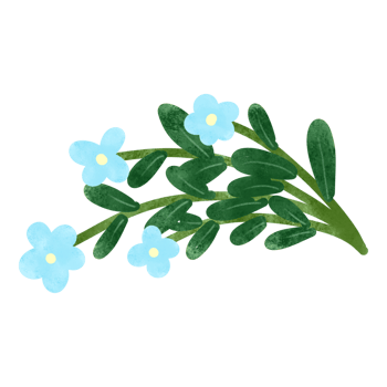 Cute flowers in the world png