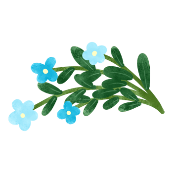 Cute flowers in the world png