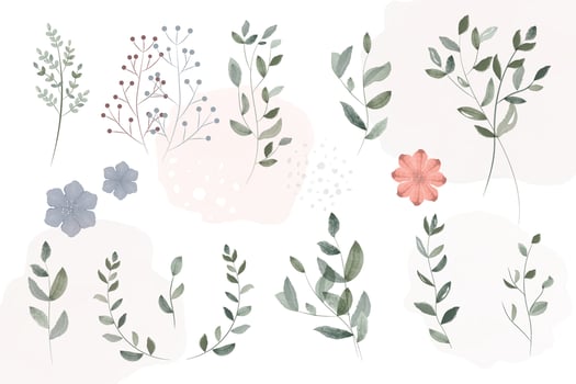 Collection of watercolor plants, watercolor floral ornament vector