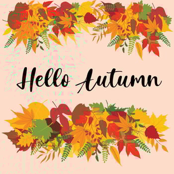 card template, autumn badges, wallpaper, welcome autumn, label design vector