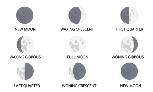 Phases Of Moon, set, From New Moon To New Moon vector