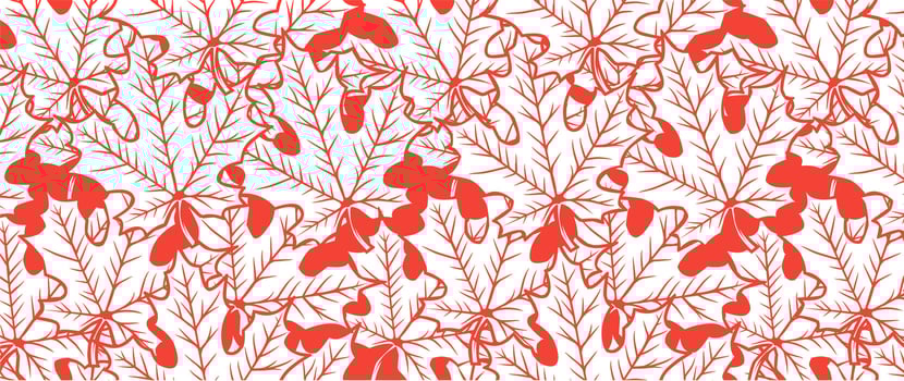 maple leaf Canada line art wallpaper background vector
