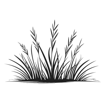 Grass Silhouette - Generative Ai png