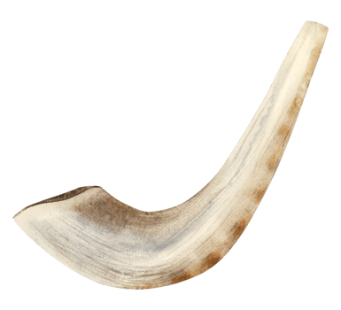 Small shofar from ram horn for Rosh Hashanah and Yom Kippur watercolor illustration. Jewish new year traditional symbol in realistic style png