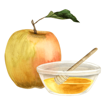 Yellow red apple and honey bowl with wooden dipper spoon watercolor illustration for Rosh Hashanah holiday. Jewish new year traditional food png