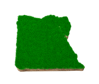 Egypt Map ss section with green grass and Rock ground texture 3d illustrationoil land geology cros png