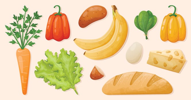 Set of vector isolated realistic food illustrations. Fresh healthy vegetables and fruits, raw herbs, bread, cheese and milk.