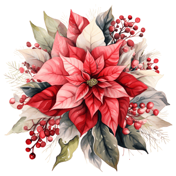 Christmas bouquet with poinsettia, holly and berries. Watercolor illustration AI Generative png
