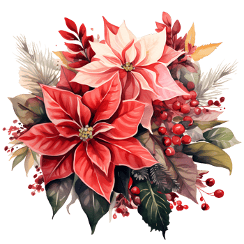 Christmas bouquet with poinsettia, holly and berries. Watercolor illustration AI Generative png
