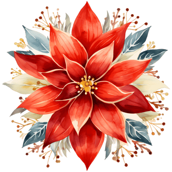 Christmas bouquet with poinsettia, holly and berries. Watercolor illustration AI Generative png