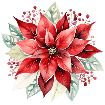 Christmas bouquet with poinsettia, holly and berries. Watercolor illustration AI Generative png