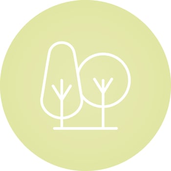 Trees Vector Icon