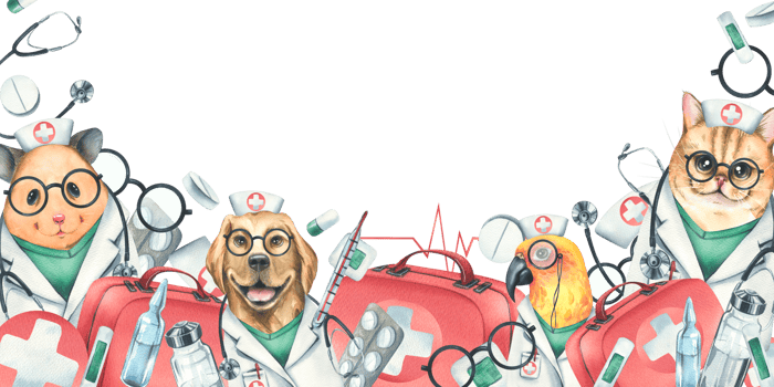 Dog, cat, hamster, parrot doctors in a dressing gown, glasses, with a stethoscope, a suitcase and medical instruments, injections. Watercolor illustration hand drawn. Template png