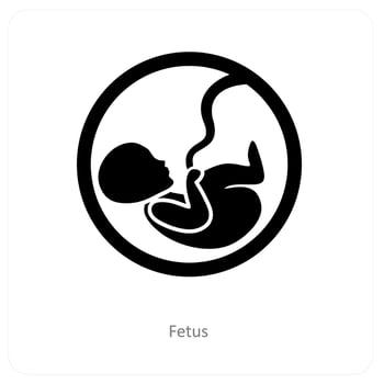 fetus and embryo icon concept vector