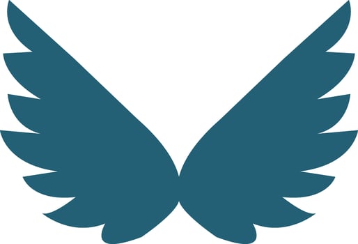 Wings Glyph Two Color Icon For Personal And Commercial Use. vector