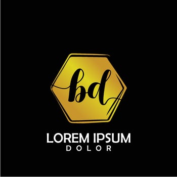 BD Initial Letter handwriting logo with circle brush template vector