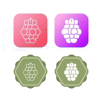 Raspberry Vector Icon