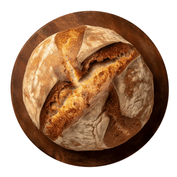 Freshly baked round whole grain bread loaf isolated on transparent background png