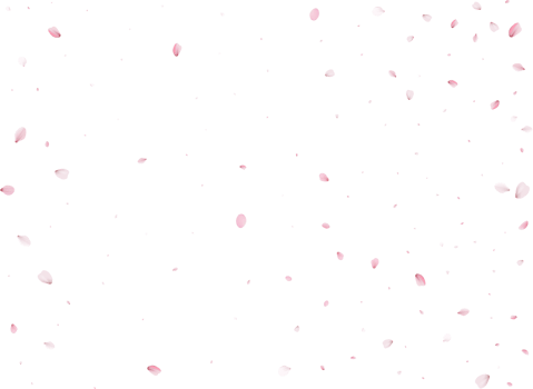 Spring Sakura Background. png