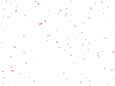 Spring Sakura Background. png
