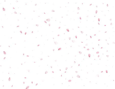 Spring Sakura Background. png