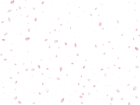 Spring Sakura Background. png