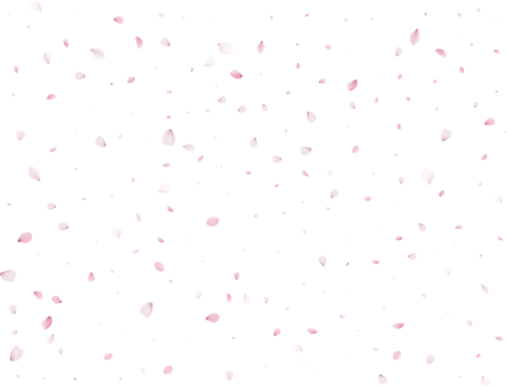 Spring Sakura Background. png