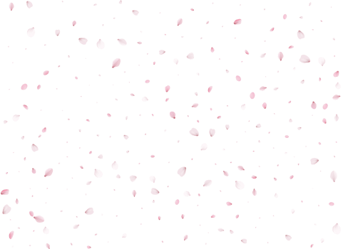 Spring Sakura Background. png