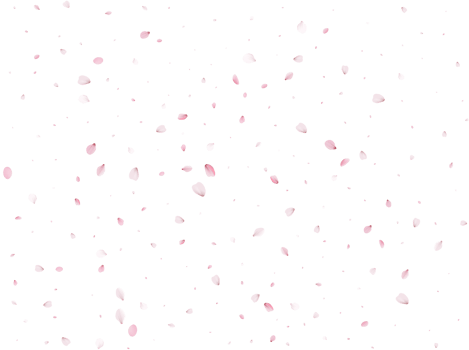 Spring Sakura Background. png