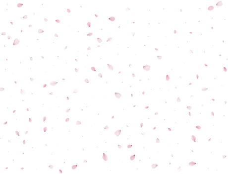 Spring Sakura Background. png
