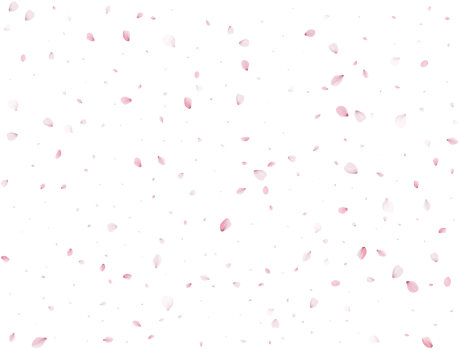 Spring Sakura Background. png