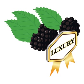Organic blackberry icon isometric vector. Ripe fresh blackberry and luxury sign vector