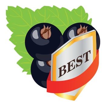 Organic blackcurrant icon isometric vector. Black currant and best quality sign vector