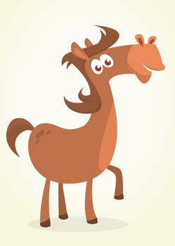 Funny cartoon horse illustration vector